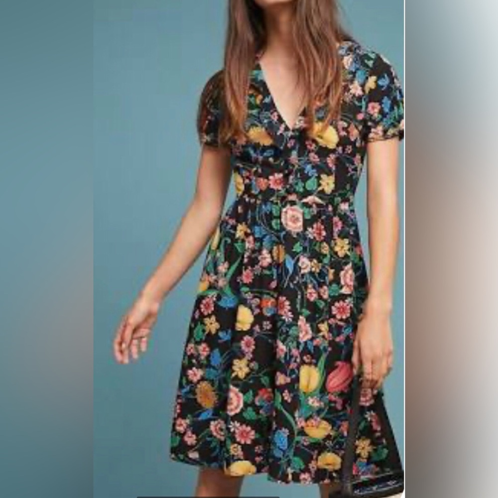 Maeve Anthropologie Bloedel Floral Butterfly Spring Ruffle Dress Size 0P